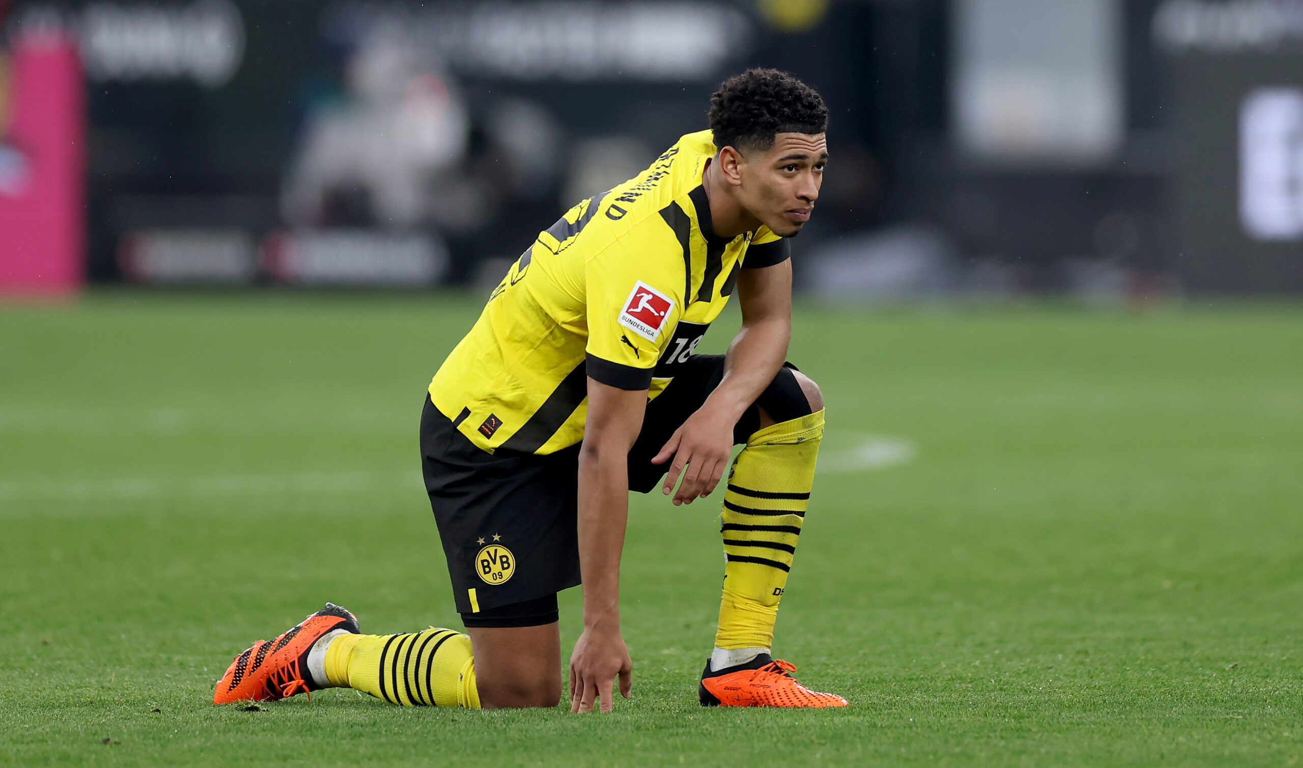 Bellingham rechaza más dinero de Dortmund para irse a Real Madrid. Foto: Getty Images.
