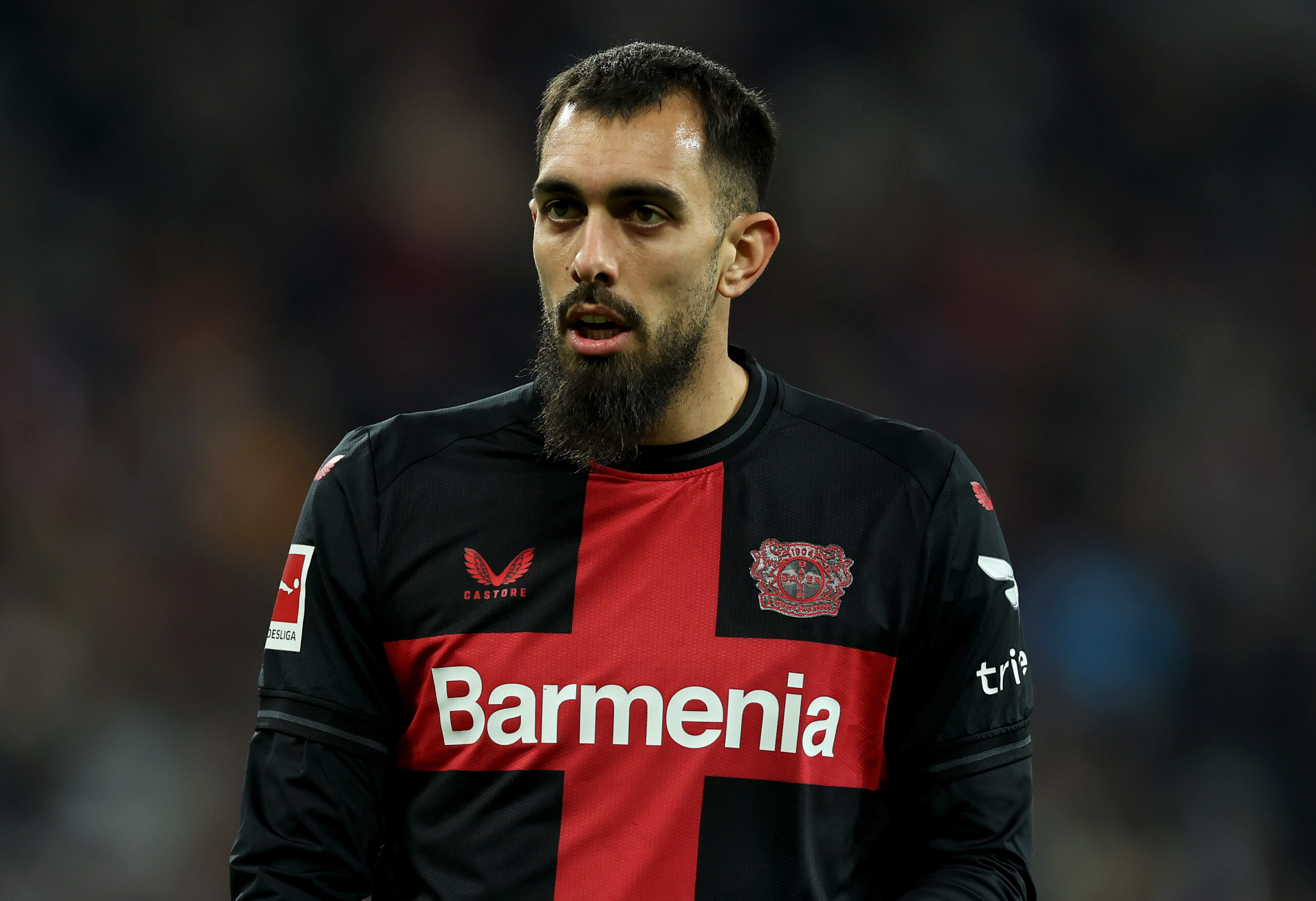 Stuttgart se fija en Borja Iglesias como posible reemplazo de Undav o Guirassy. Foto: Getty Images