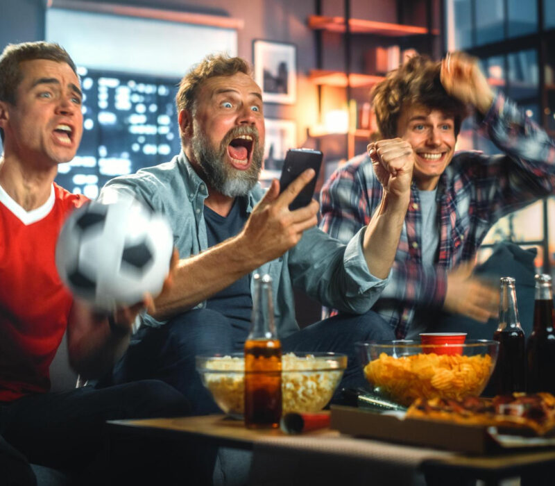 aficionados bundesliga