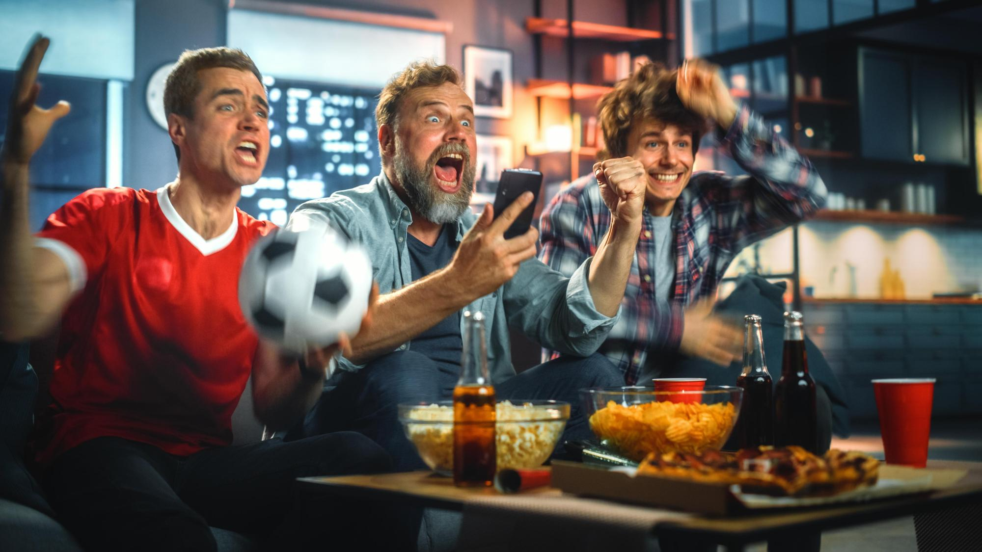 aficionados bundesliga